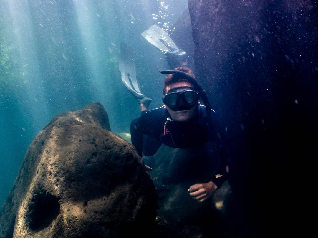 Apnosphere Freediving Mauritius-蓝湾必去景点