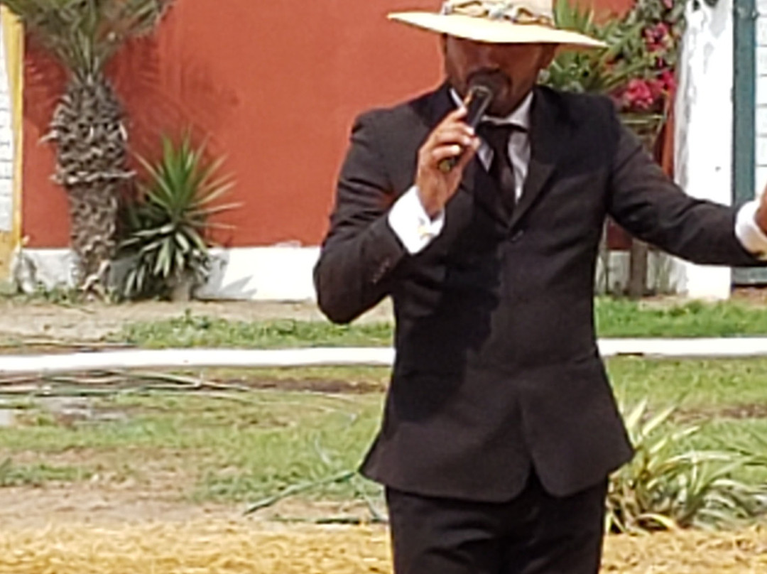 Caballos Peruanos De Paso-特鲁希略必去景点