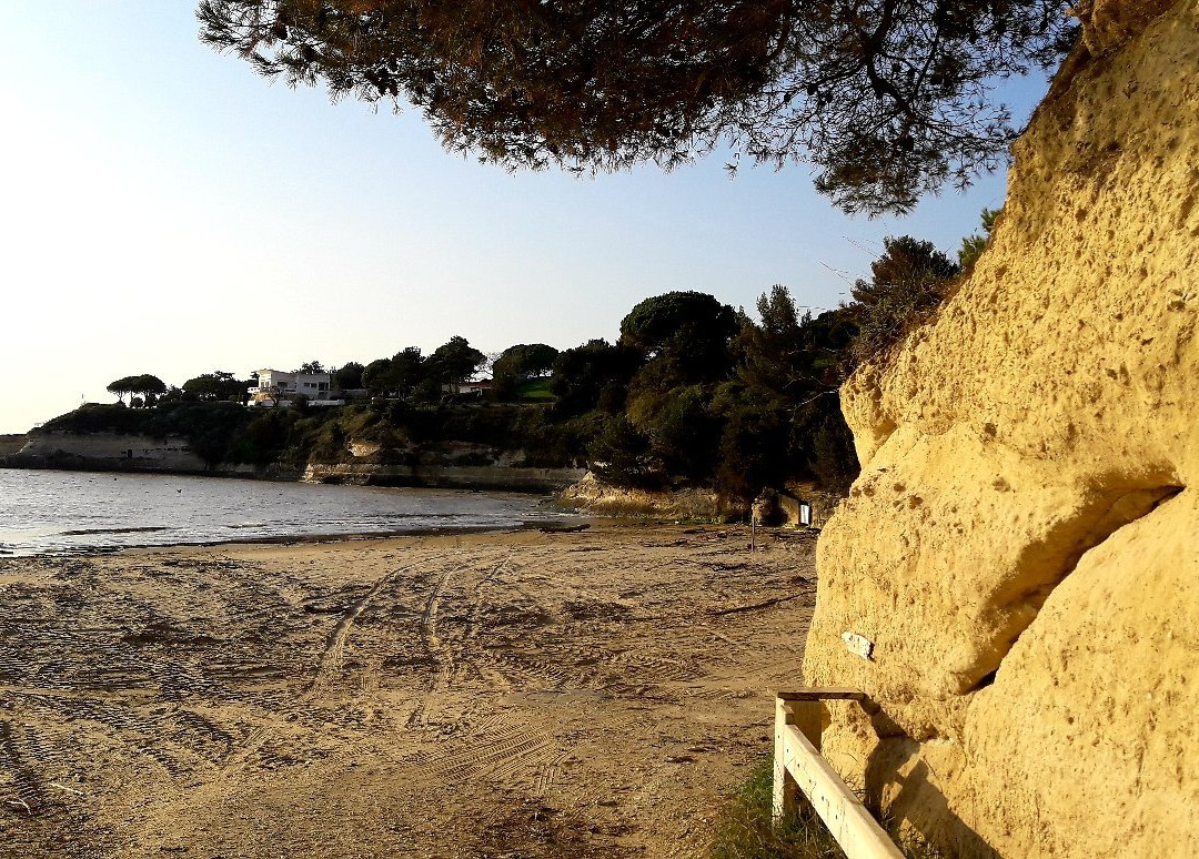 Plage Des Nonnes景点图片