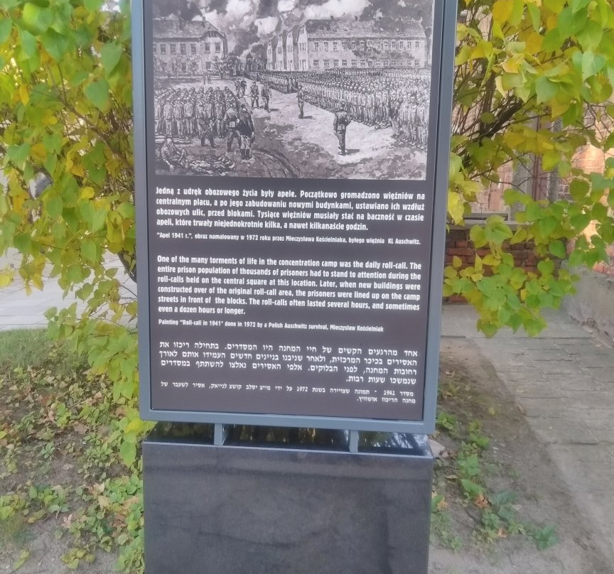 Auschwitz & Birkenau Tours - Shared Group Tours or Private Transport-克拉科夫必去景点