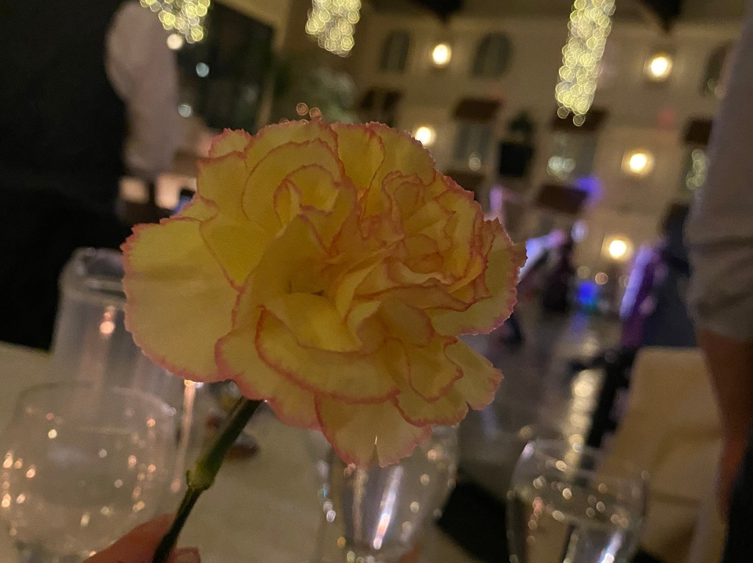 Eden Resort and Suites, BW Premier Collection主图