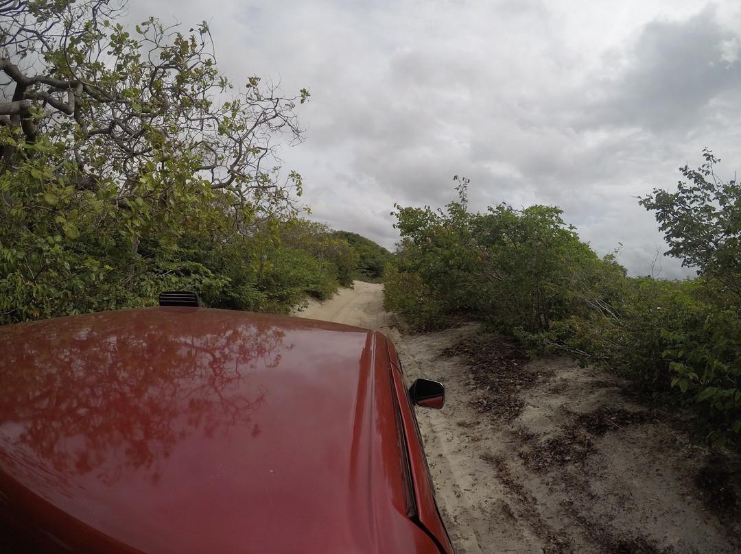 Canto do Atins-巴雷里尼亚斯必去景点