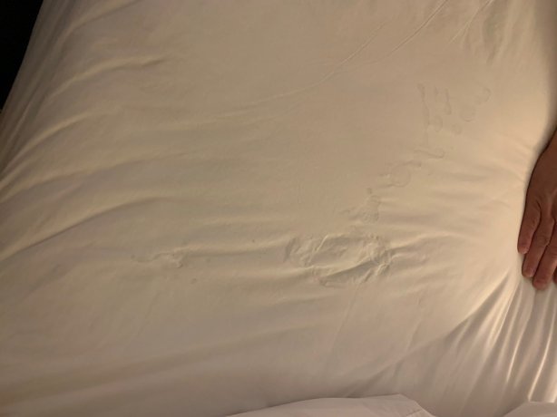 Ontario Airport Hotel & Conference Center-官方