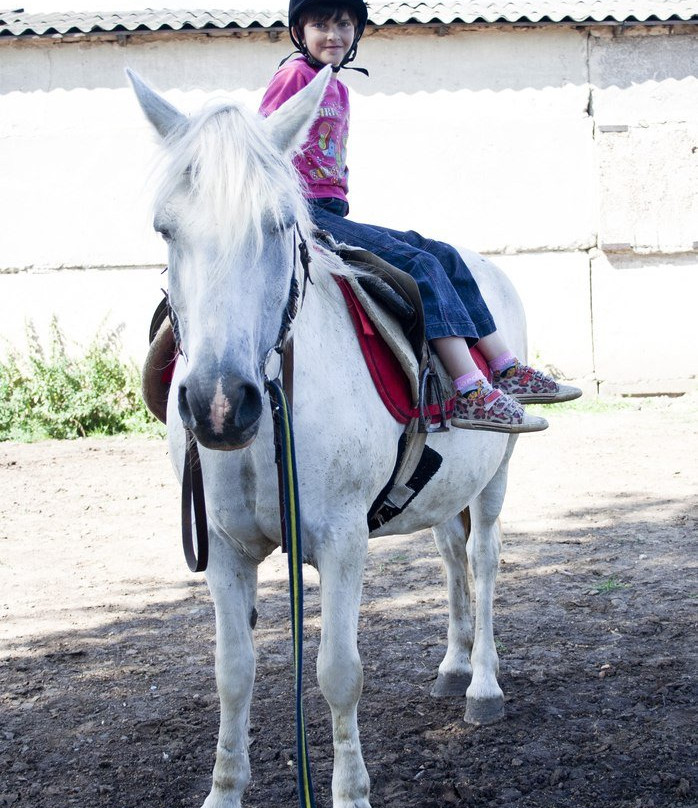 Horse Riding Club Tsentavr景点图片