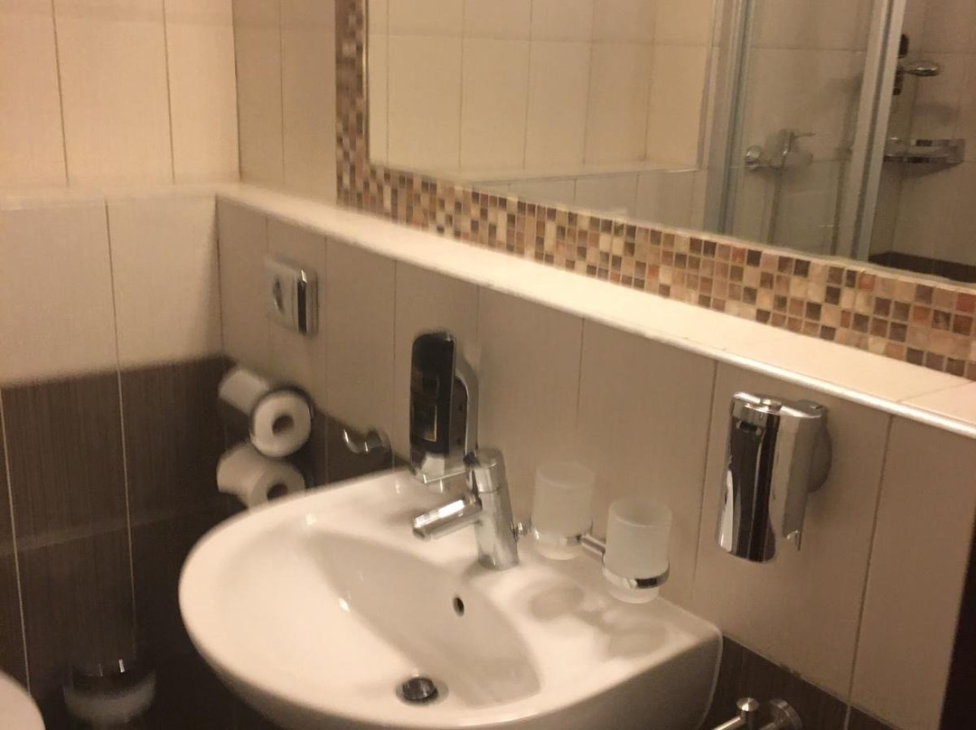 梅耶霍夫酒店主图