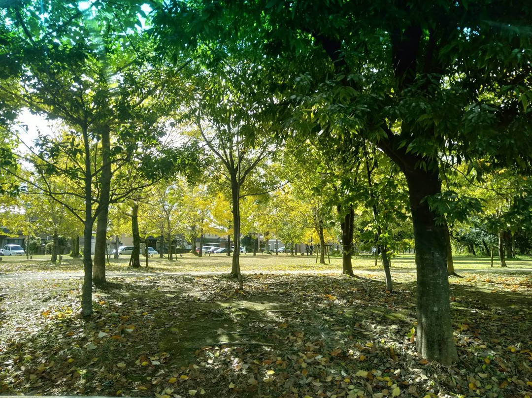 Manabi no Mori-各务原市必去景点