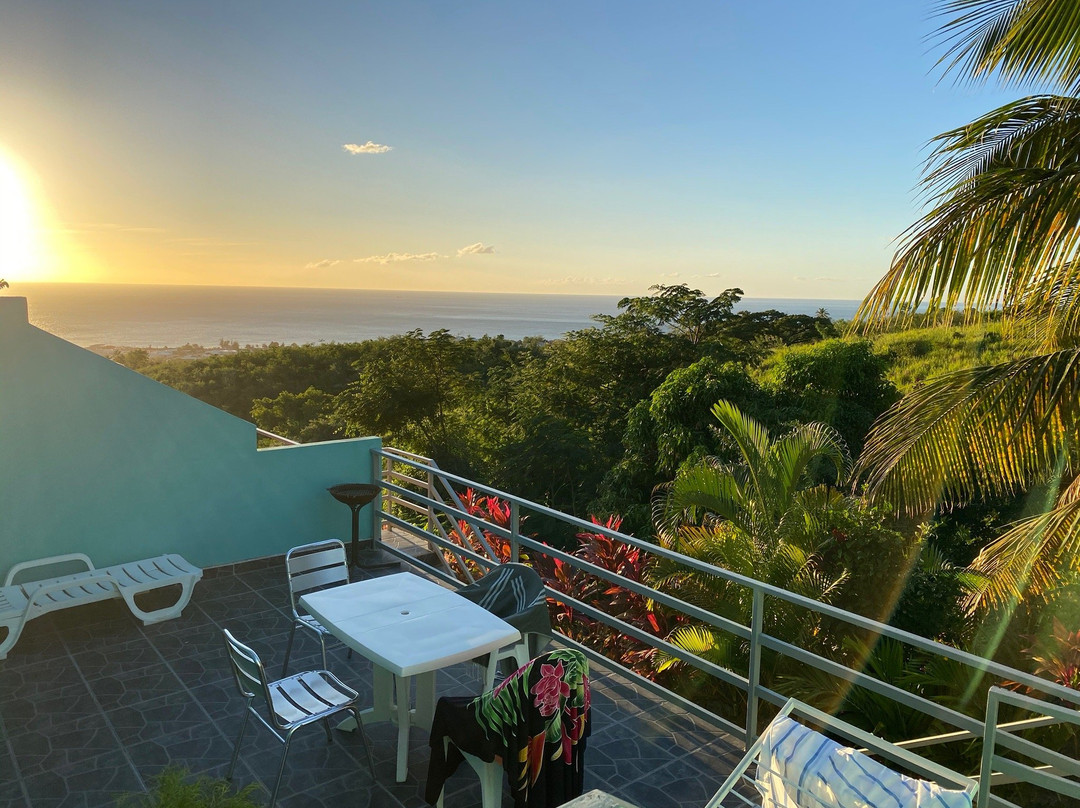 Paradis Tropical appart' hotel主图