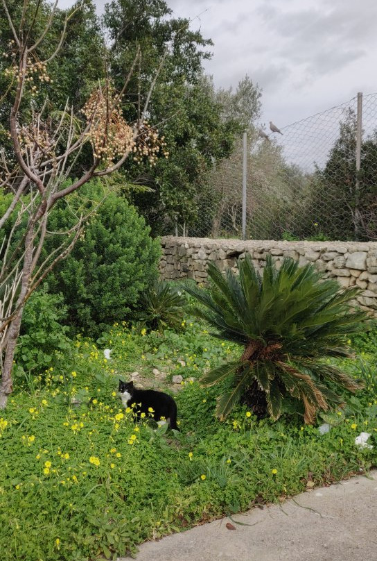 Ta’ Qali National Park-Attard必去景点