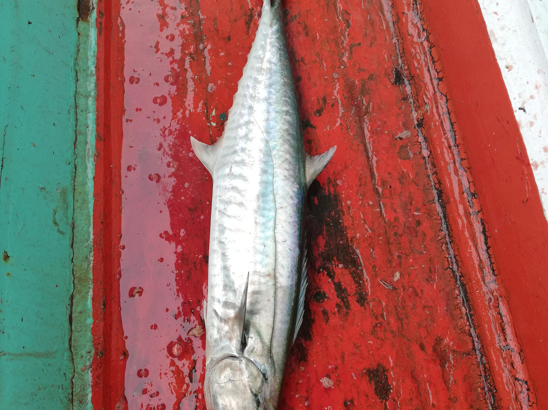 暹罗升级水上运动-象岛必去景点