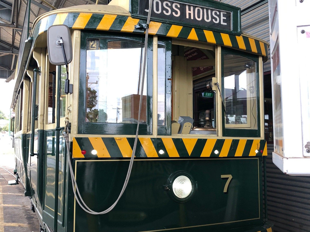 Bendigo Tramways景点图片