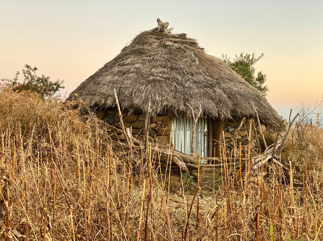 Simien Mountain Treks景点图片