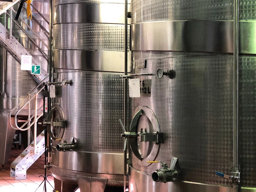 Groote Post Winery-Darling必去景点