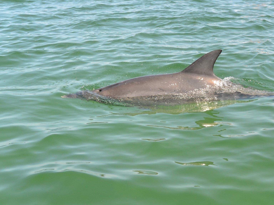 Jet Ski Tours Perth-罗金厄姆必去景点