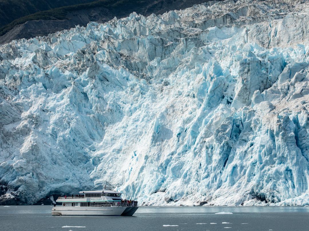 Kenai Fjords Tours景点图片