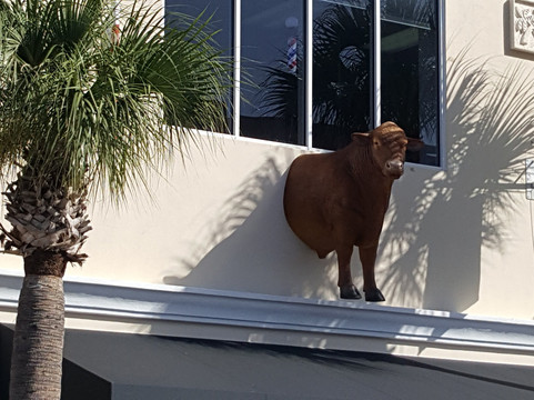 Downtown Fort Pierce-匹尔斯堡必去景点