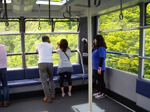 Yuzawa Kogen Ropeway景点图片