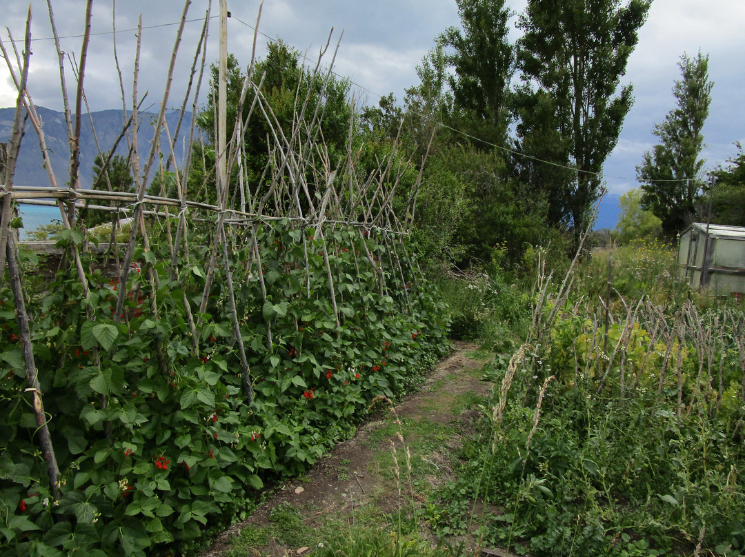 Turismo Puerto Cristal-Puerto Cristal必去景点