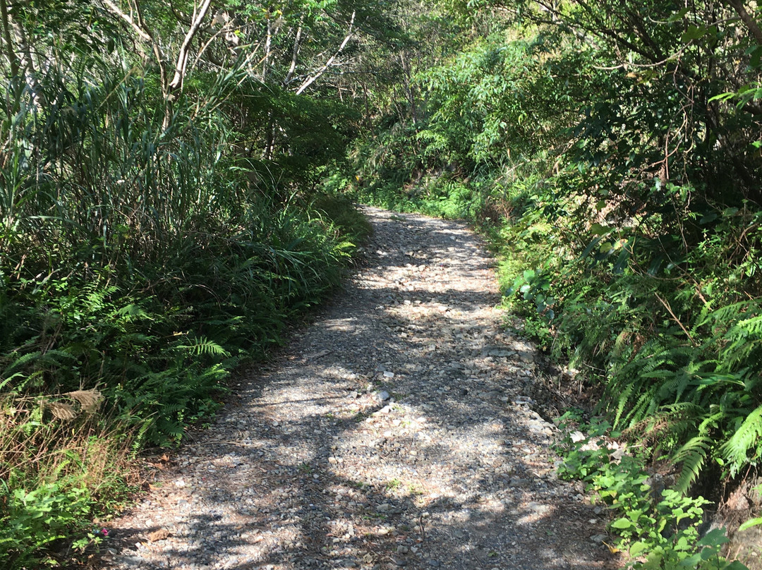 Funangyo Falls-奄美市必去景点
