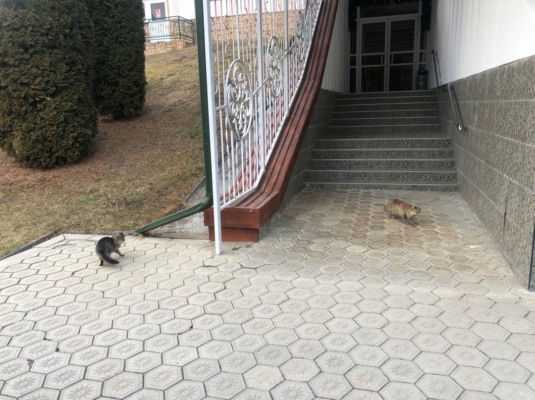 Sanatorium Villa Arnest主图