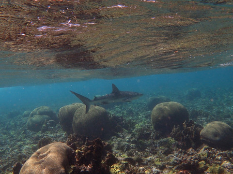 Caribe Extremo-圣安德烈斯必去景点