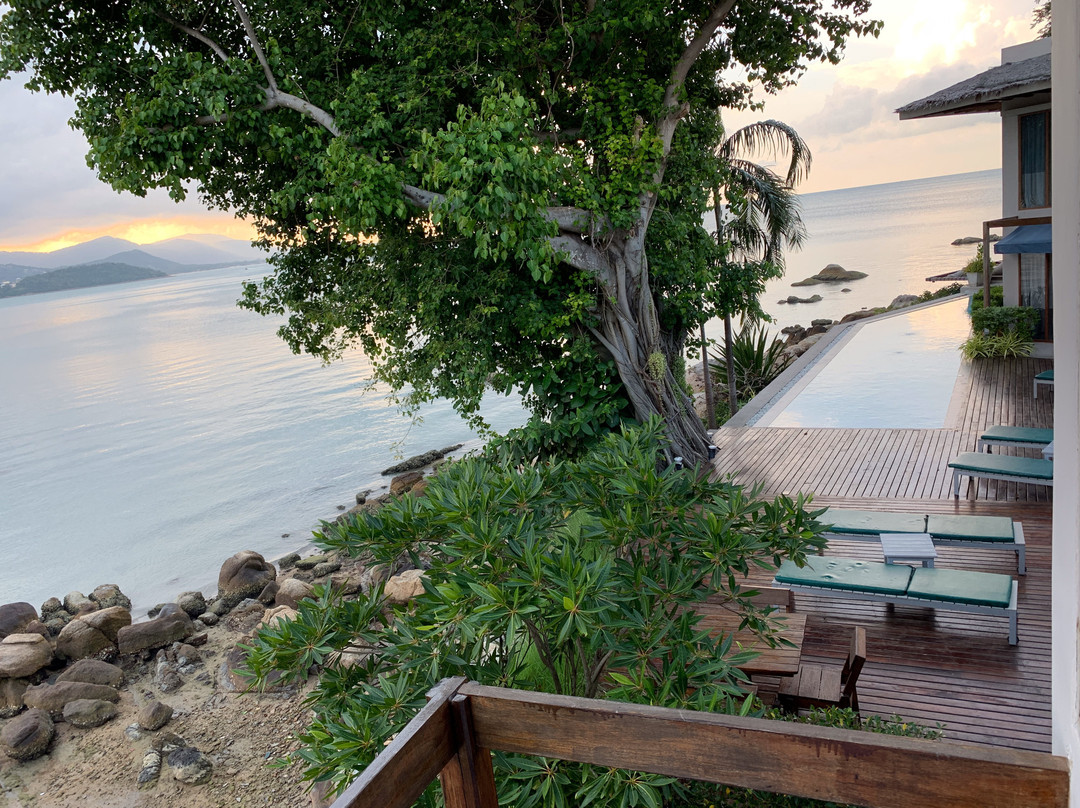 Tamarina Bed & Beyond主图