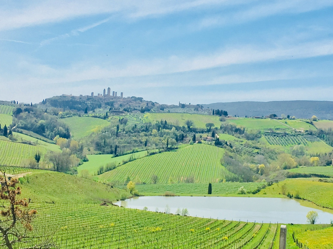Chianti Wine Tour by Fun In Tuscany景点图片