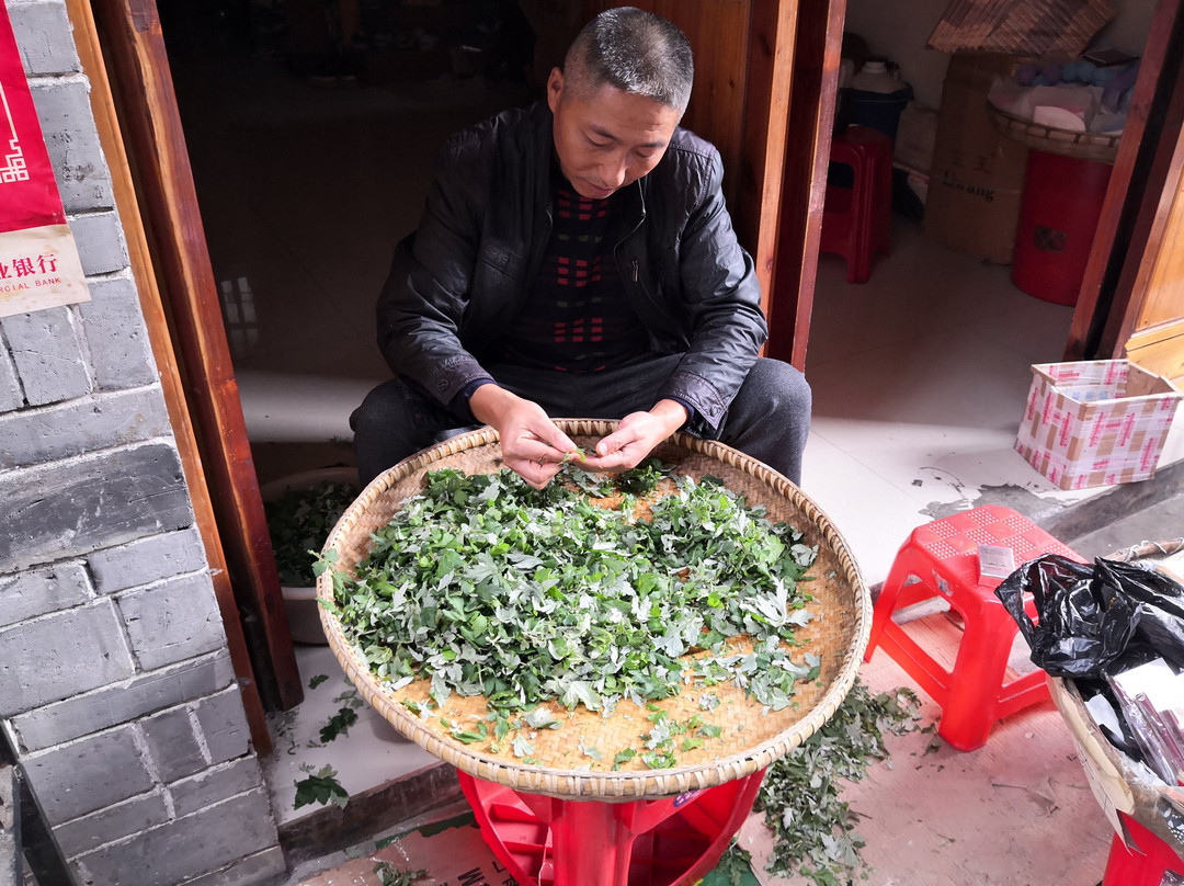 Hot Hunan Tour-长沙市必去景点