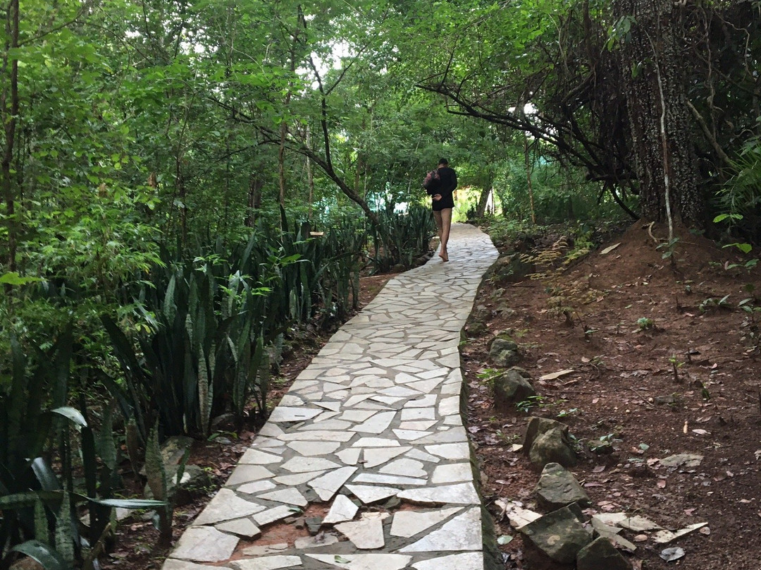 Águas Termais do Morro Vermelho景点图片