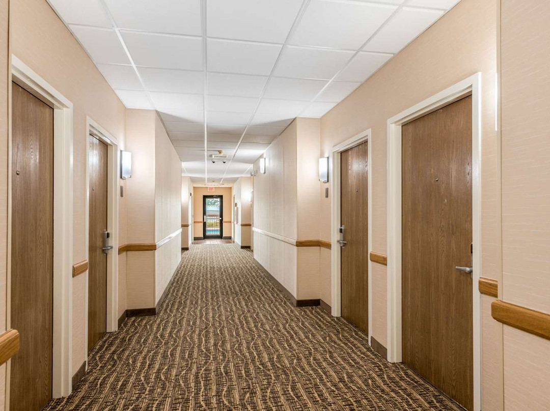 Comfort Suites主图