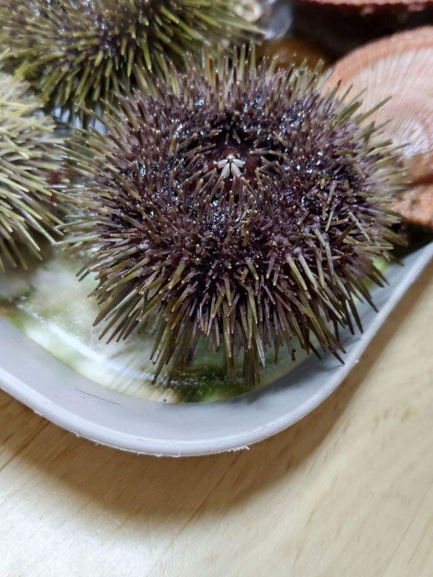 Школа фридайвинга ArcticFree-Teriberka必去景点