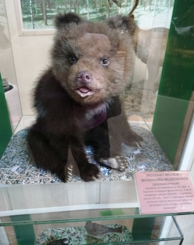 City Council Local History Museum-秋明必去景点