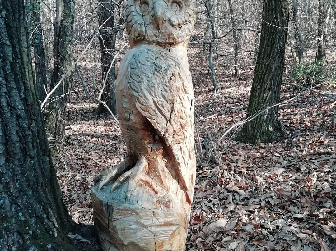 Sculture in Legno景点图片