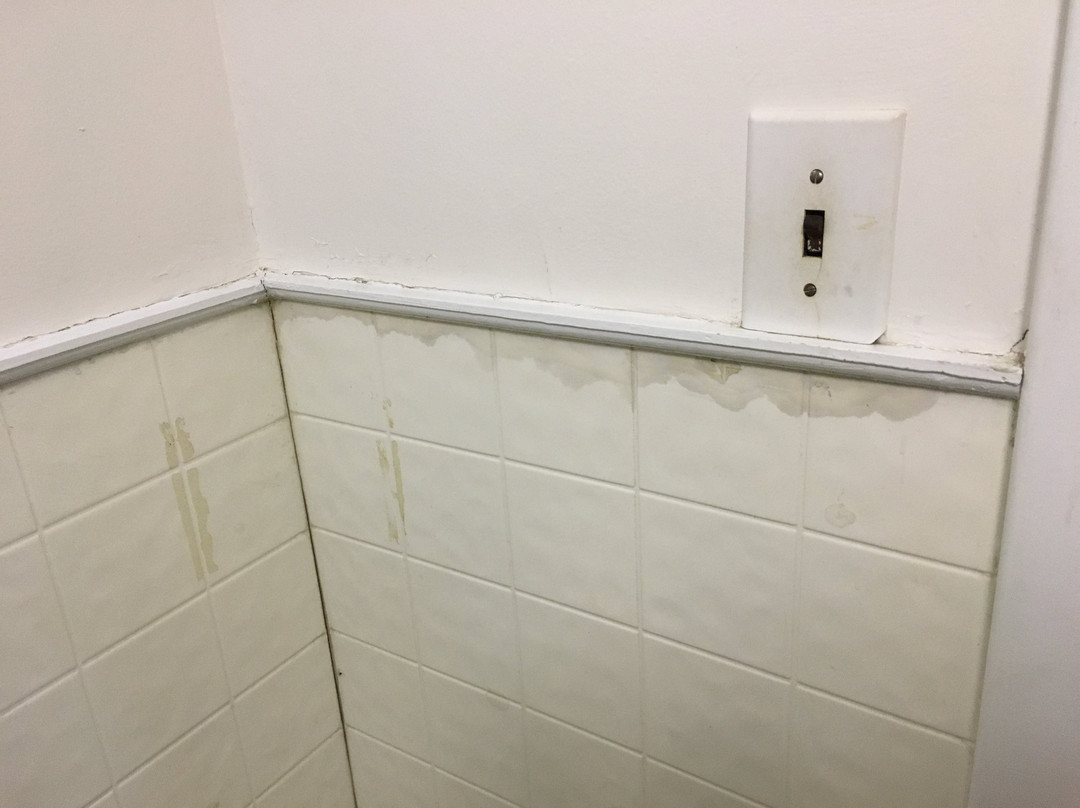 Saco River Lodge & Suites主图