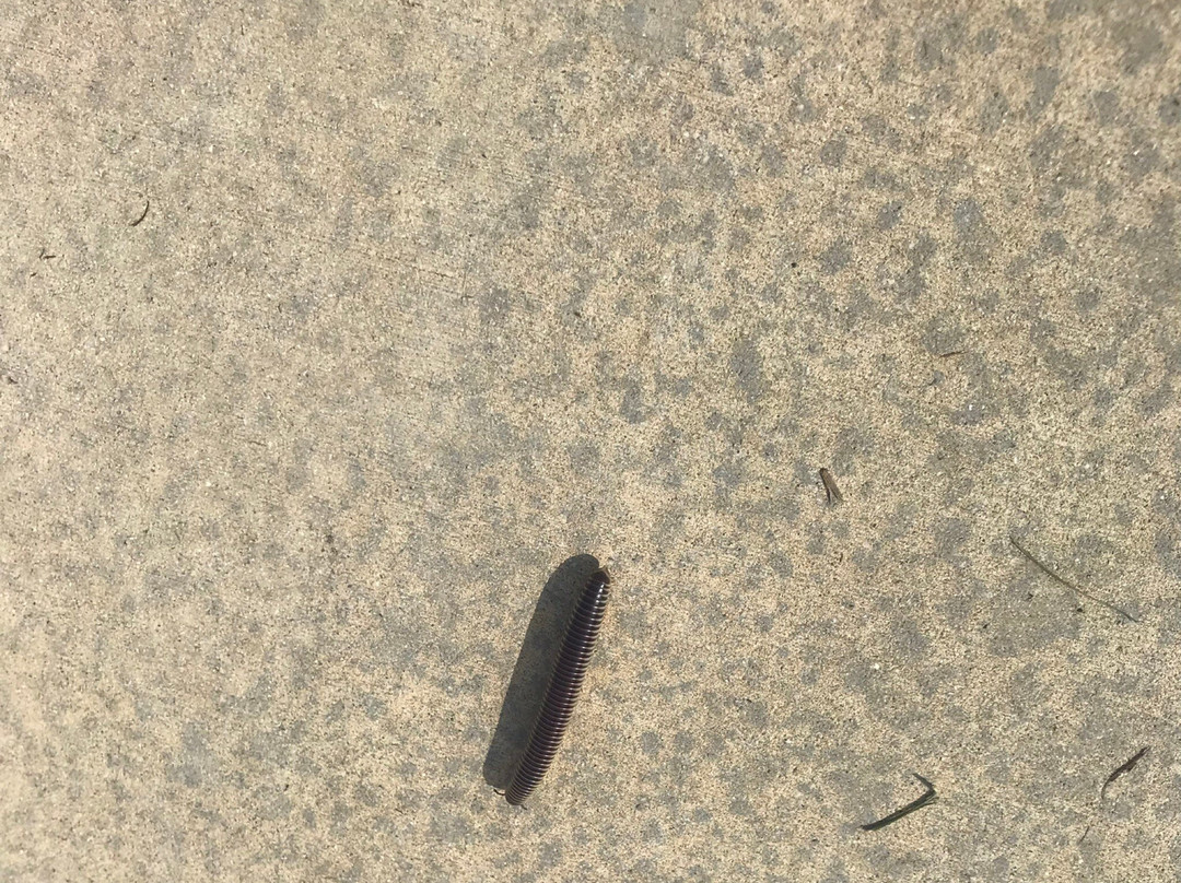 Savannas Preserve State Park-圣露西港必去景点