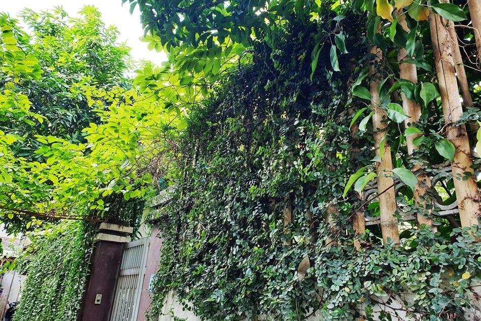 Chez Hoa - Dîner et cours de cuisine chez l'habitant à Hanoi-河内必去景点