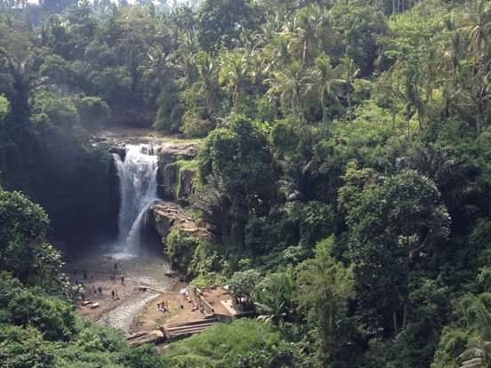 Bali Nature Trek (ketut Sudiantara)景点图片