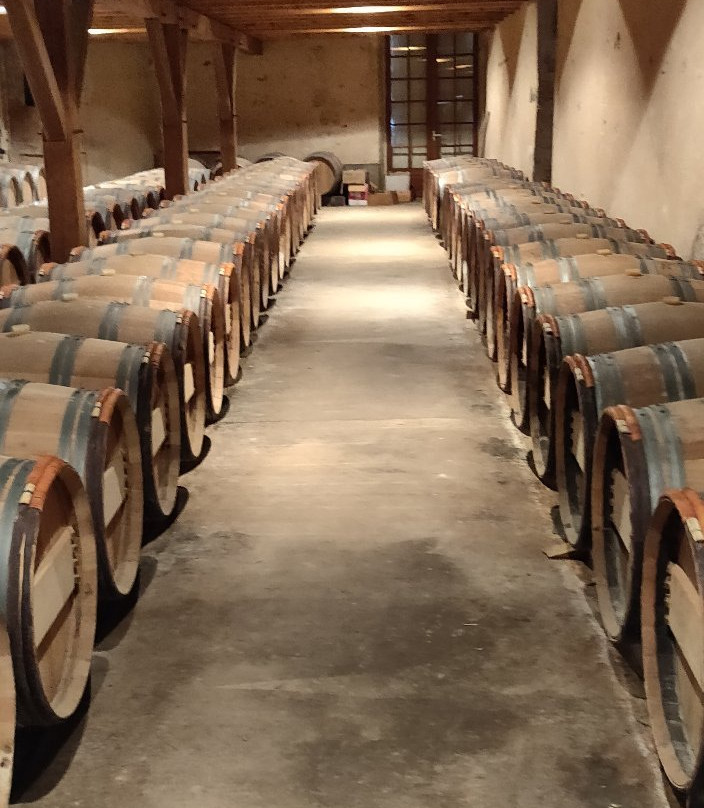 Chateau Lamothe Guignard景点图片