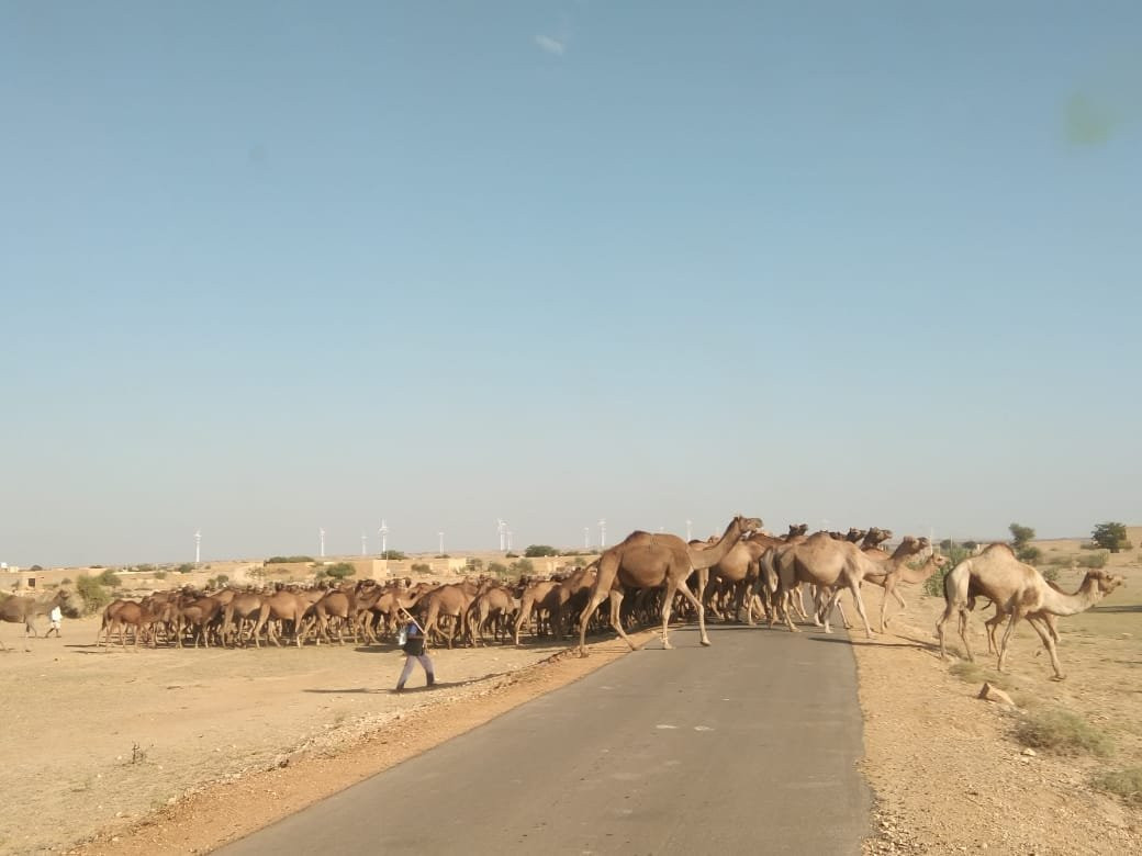 Shree Ganesham Travel India-杰伊瑟尔梅尔必去景点