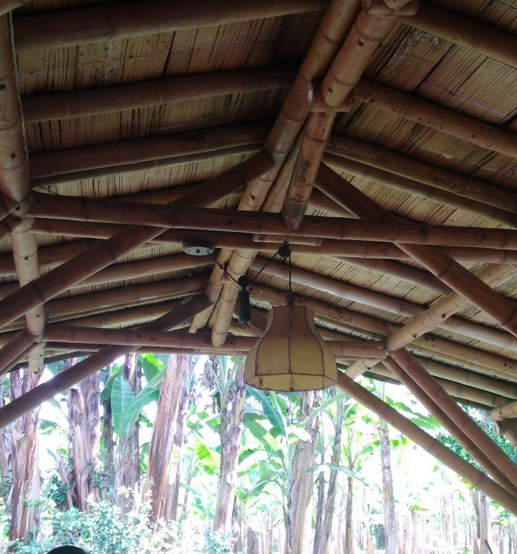 El Paraiso del Bambu y La Guadua-Montenegro必去景点