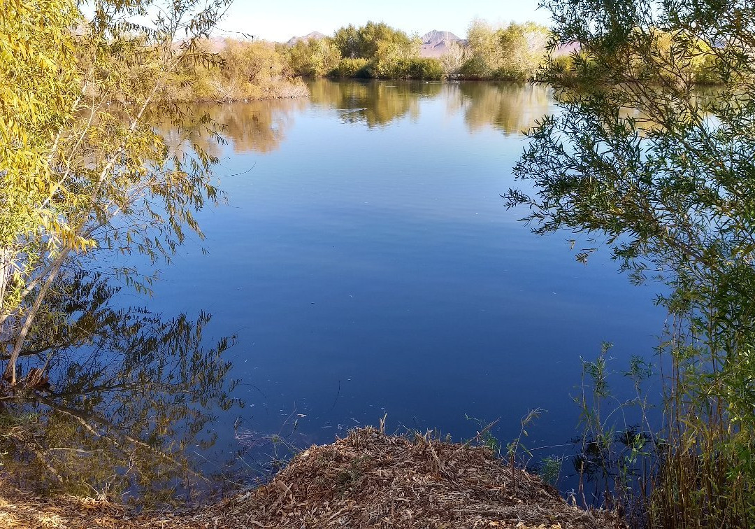 Henderson Bird Viewing Preserve-亨德森必去景点