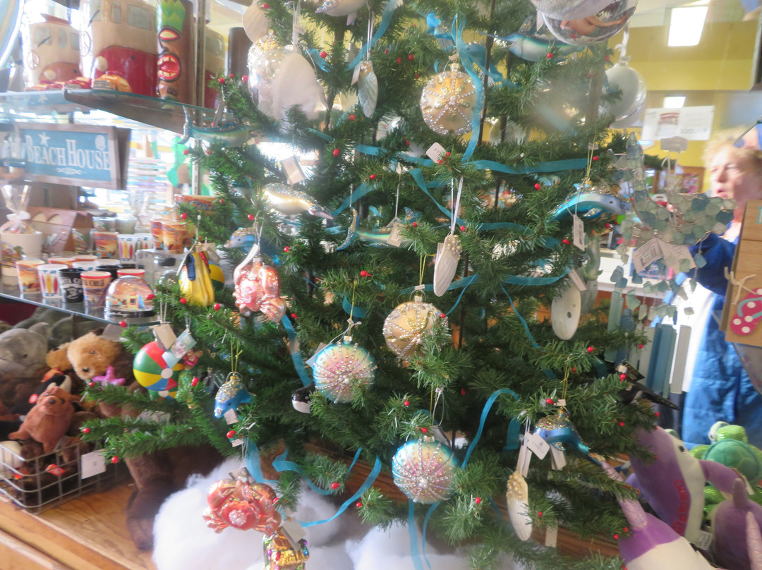 Marini’s Candies-圣克鲁斯必去景点