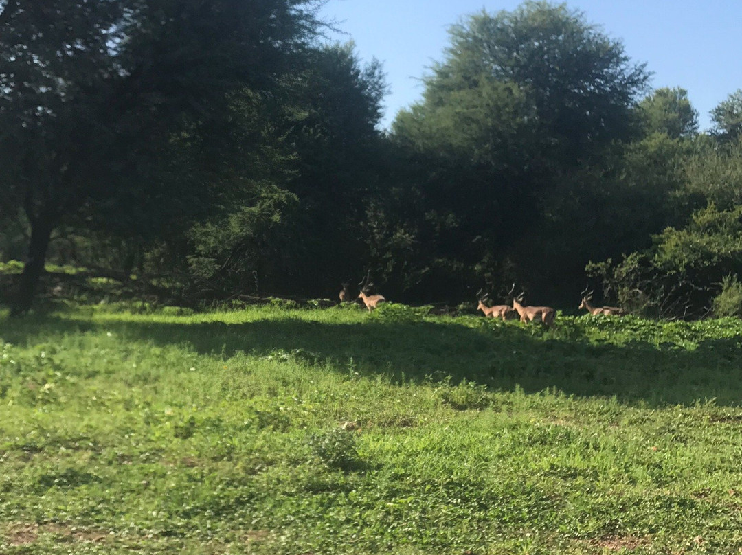 Gaborone Game Reserve-嘉伯隆里必去景点