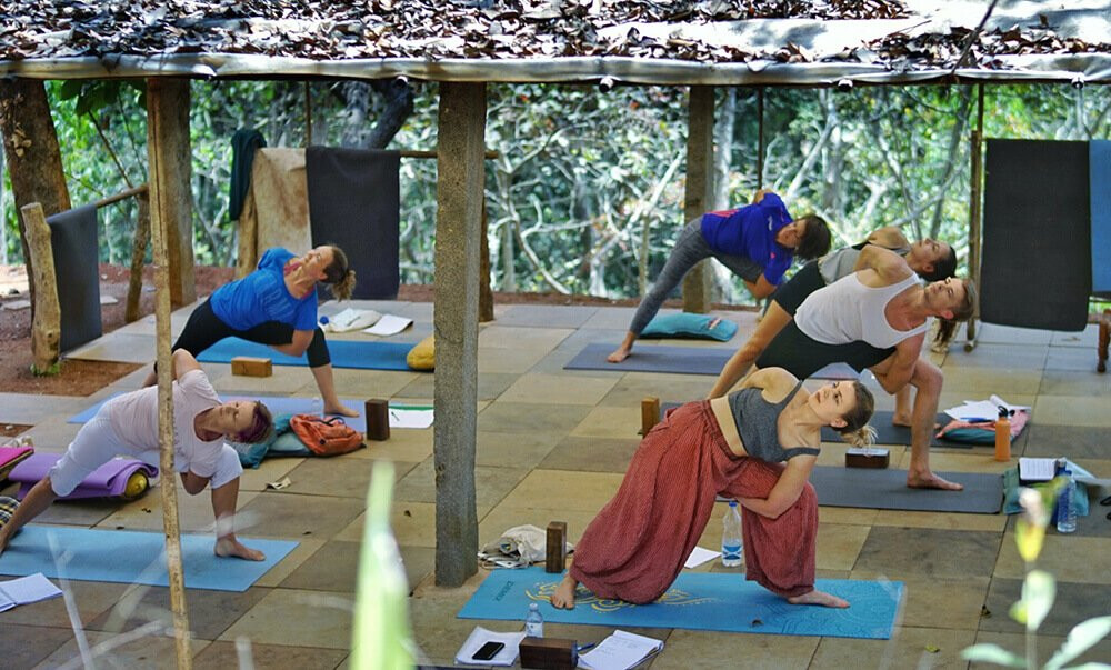 Yoga Training Centre景点图片