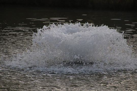 Coyle Creek Park-Welland必去景点
