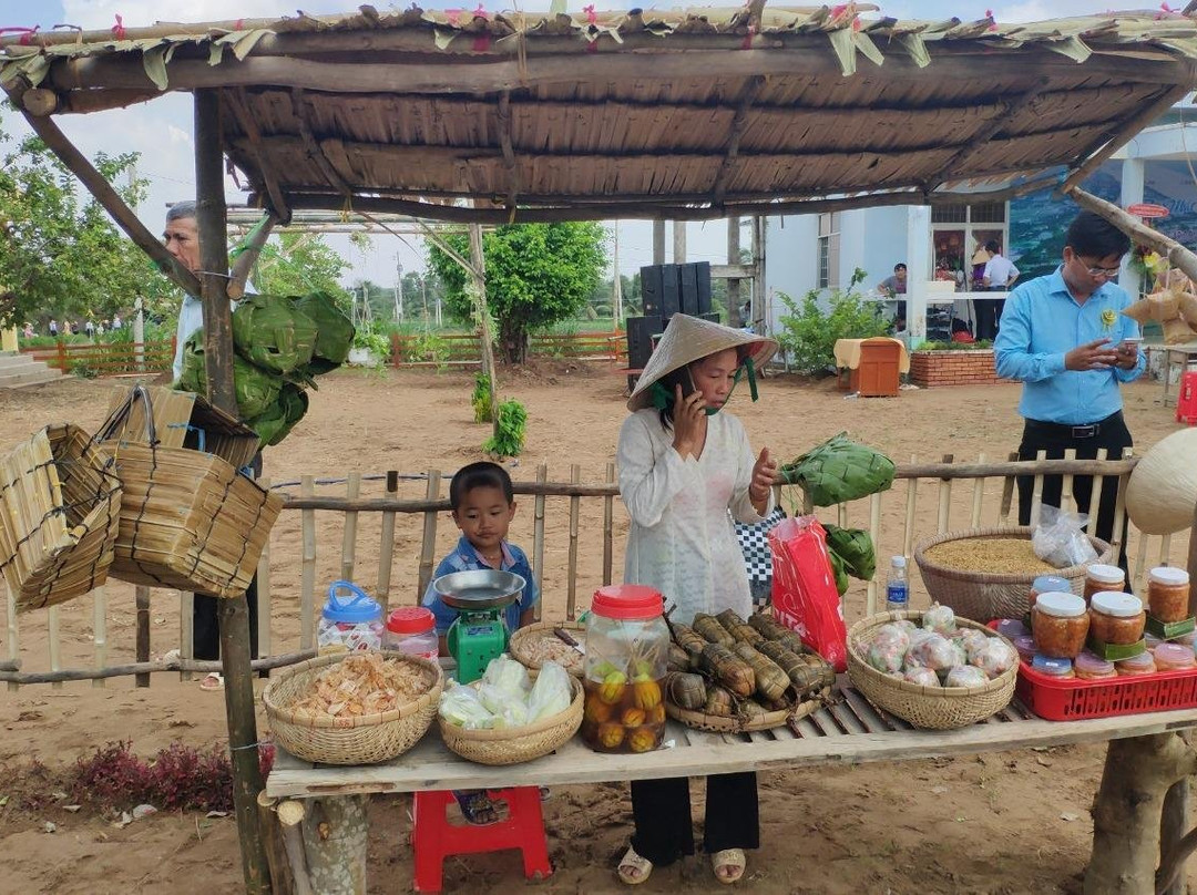 Mita Tour-Tra Vinh必去景点