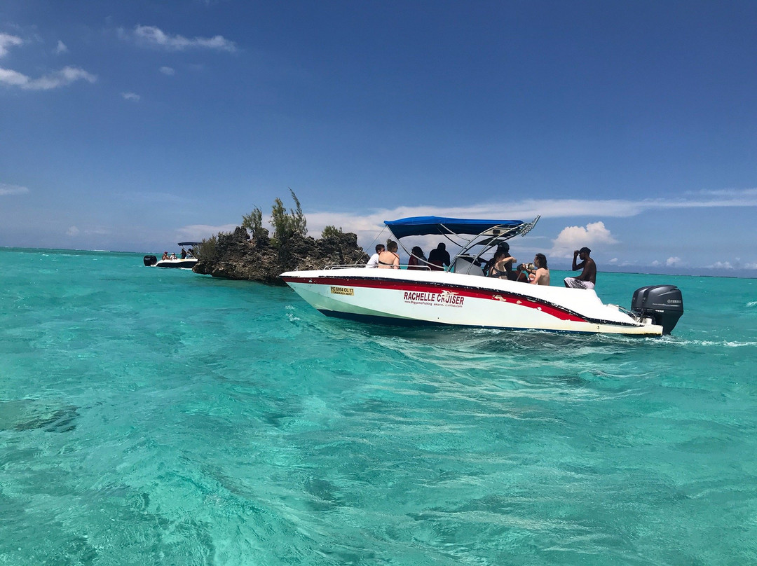 La Pirogue - Swim with the Dolphins-弗力克昂弗雷克必去景点