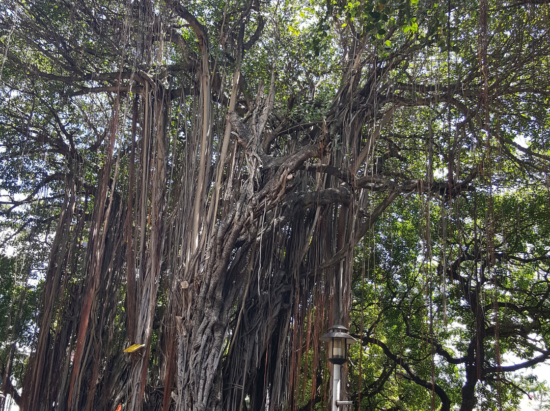 Les Jardins de la Compagnie景点图片