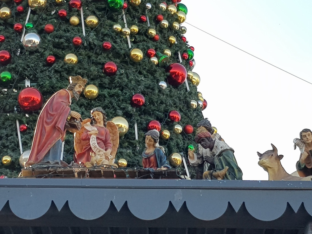 Israel Tours- Allen Gill Tour Guide-耶路撒冷必去景点