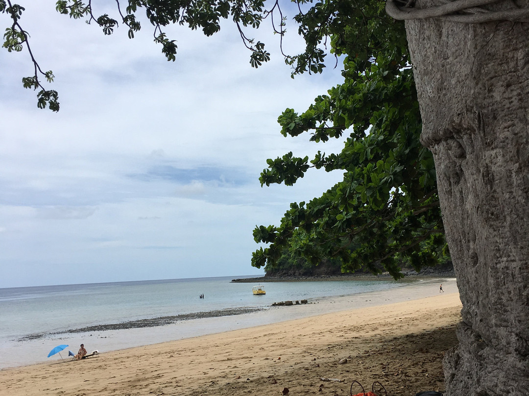 Le Jardin Maore主图