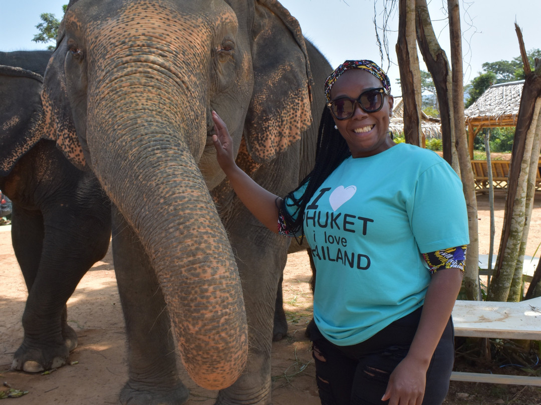 Phuket Elephant Sanctuary-普吉岛必去景点